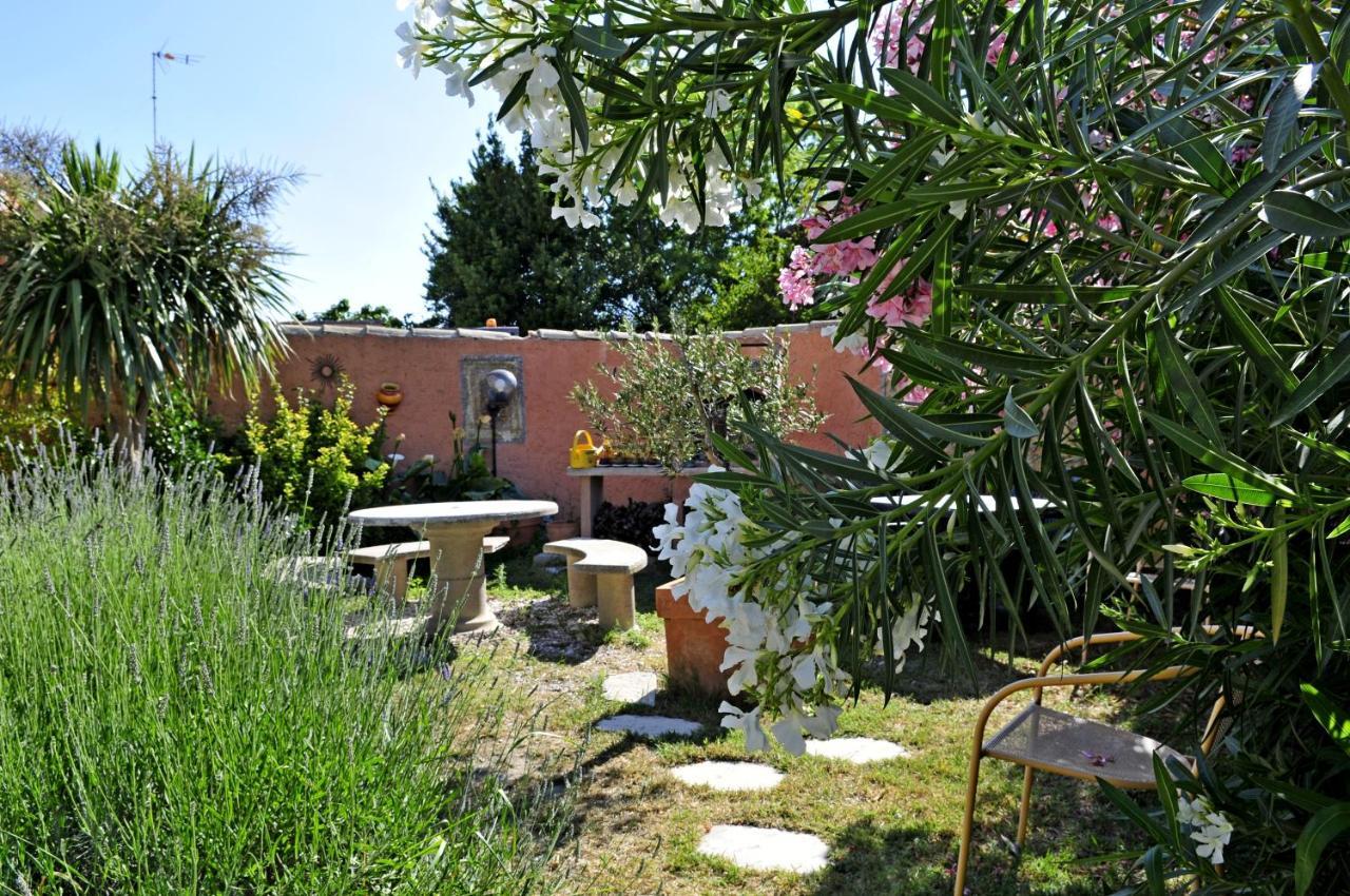 Maison Des Croisades Aigues-Mortes Eksteriør billede